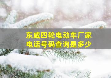 东威四轮电动车厂家电话号码查询是多少