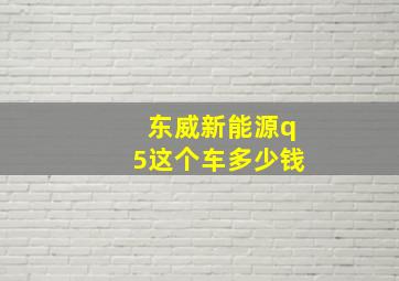 东威新能源q5这个车多少钱