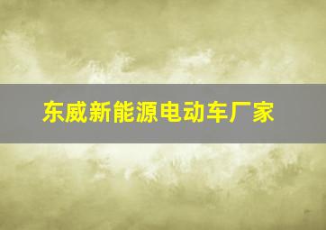 东威新能源电动车厂家