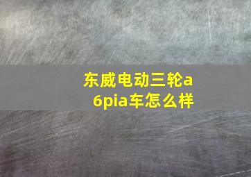 东威电动三轮a6pia车怎么样