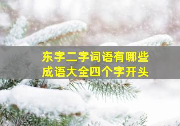 东字二字词语有哪些成语大全四个字开头