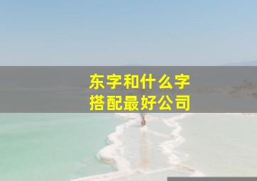 东字和什么字搭配最好公司