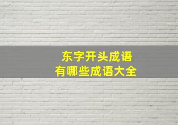 东字开头成语有哪些成语大全