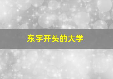 东字开头的大学