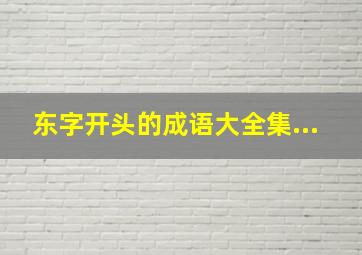 东字开头的成语大全集...