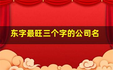 东字最旺三个字的公司名