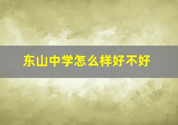 东山中学怎么样好不好