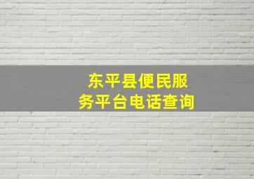 东平县便民服务平台电话查询