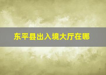 东平县出入境大厅在哪