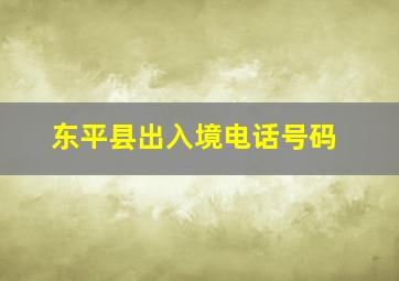 东平县出入境电话号码