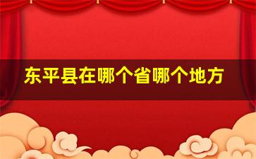 东平县在哪个省哪个地方