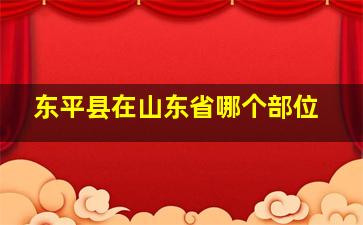 东平县在山东省哪个部位