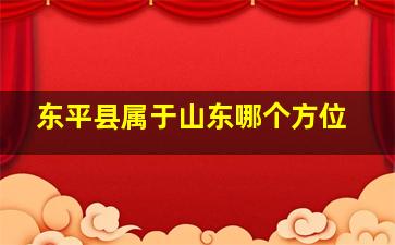 东平县属于山东哪个方位