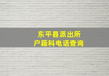 东平县派出所户籍科电话查询