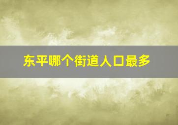 东平哪个街道人口最多