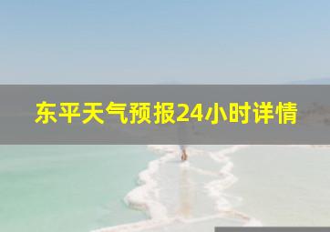 东平天气预报24小时详情