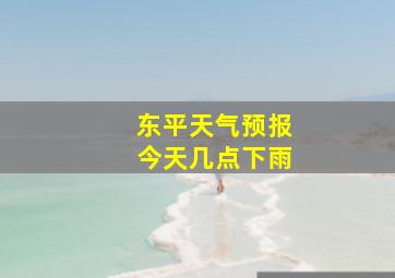 东平天气预报今天几点下雨