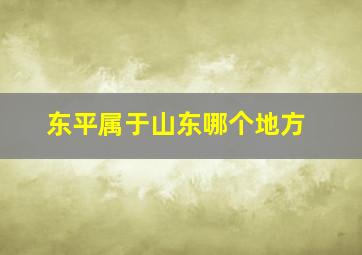 东平属于山东哪个地方