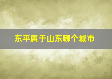 东平属于山东哪个城市