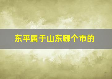 东平属于山东哪个市的