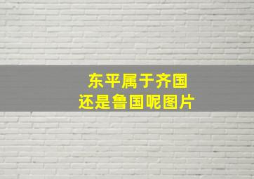 东平属于齐国还是鲁国呢图片