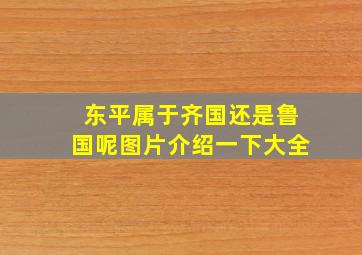 东平属于齐国还是鲁国呢图片介绍一下大全