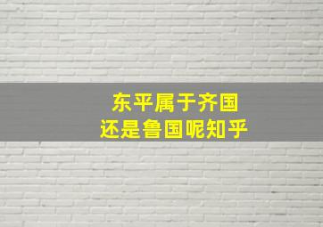 东平属于齐国还是鲁国呢知乎