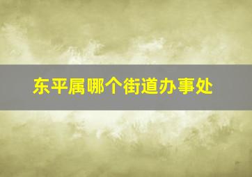 东平属哪个街道办事处