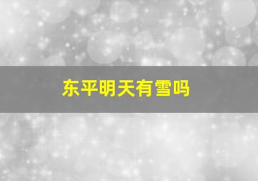 东平明天有雪吗