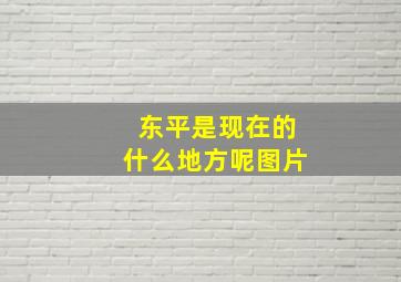 东平是现在的什么地方呢图片