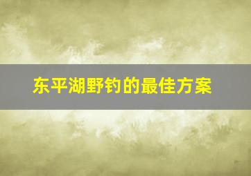 东平湖野钓的最佳方案