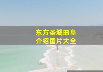 东方圣城曲阜介绍图片大全