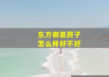 东方御景房子怎么样好不好