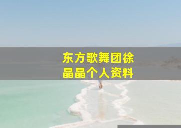 东方歌舞团徐晶晶个人资料