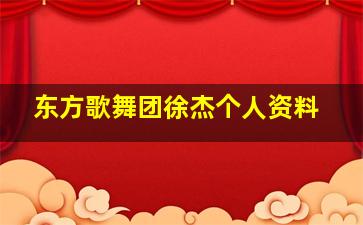 东方歌舞团徐杰个人资料