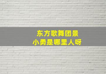 东方歌舞团景小勇是哪里人呀