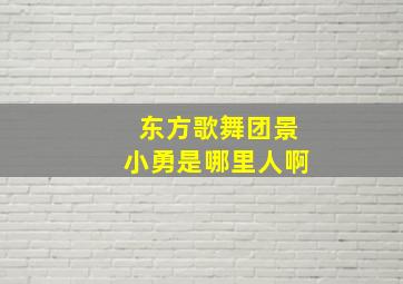 东方歌舞团景小勇是哪里人啊