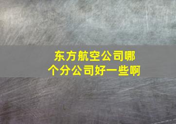 东方航空公司哪个分公司好一些啊