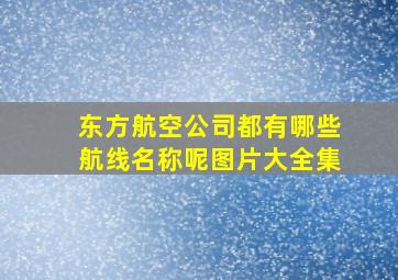 东方航空公司都有哪些航线名称呢图片大全集