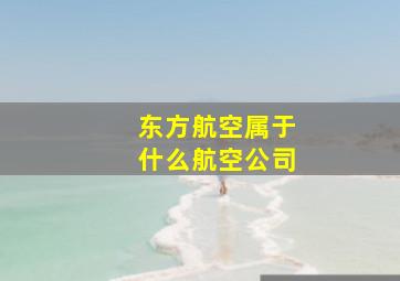 东方航空属于什么航空公司