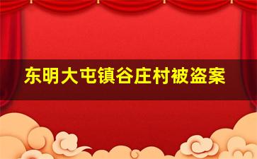 东明大屯镇谷庄村被盗案