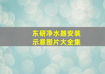 东研净水器安装示意图片大全集