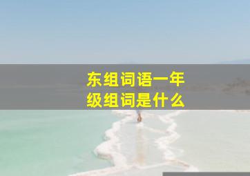 东组词语一年级组词是什么