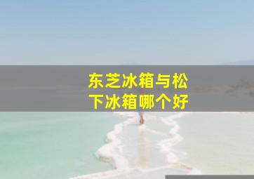 东芝冰箱与松下冰箱哪个好