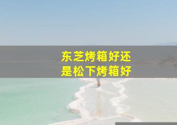 东芝烤箱好还是松下烤箱好