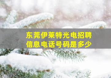 东莞伊莱特光电招聘信息电话号码是多少