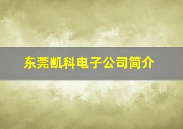 东莞凯科电子公司简介