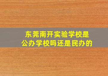 东莞南开实验学校是公办学校吗还是民办的