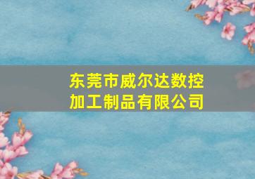 东莞市威尔达数控加工制品有限公司