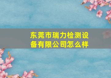 东莞市瑞力检测设备有限公司怎么样